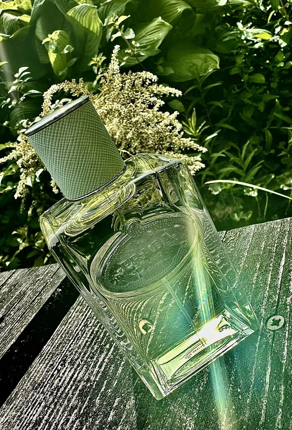 Prada Infusion d'Iris (2015)